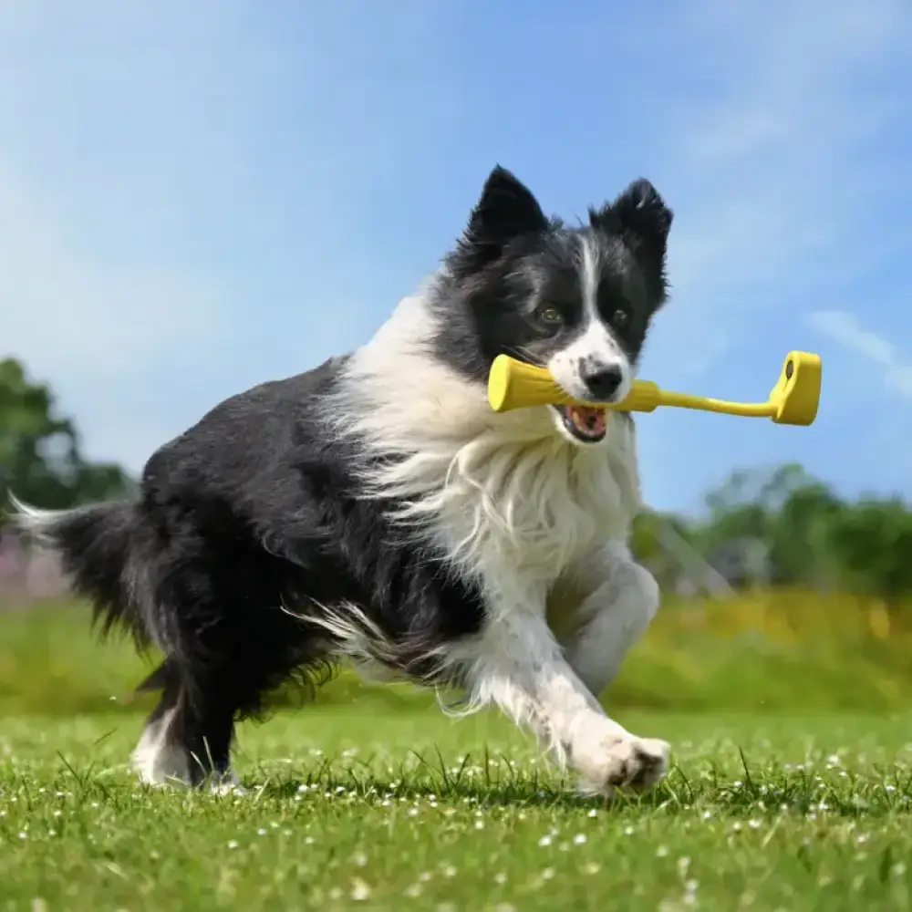 Insta360 GO 3 Fetch Stick - Image 4